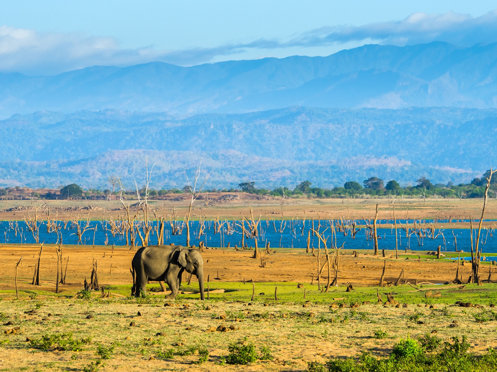 Cycling Holidays Sri Lanka